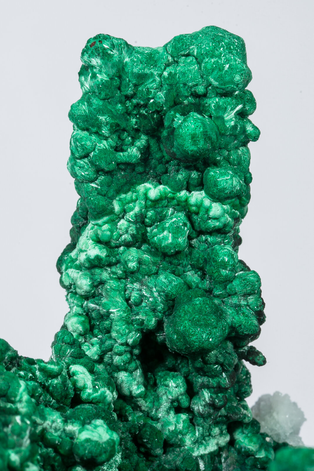 specimens/s_imagesAN2/Malachite-TB49AN2d1.jpg