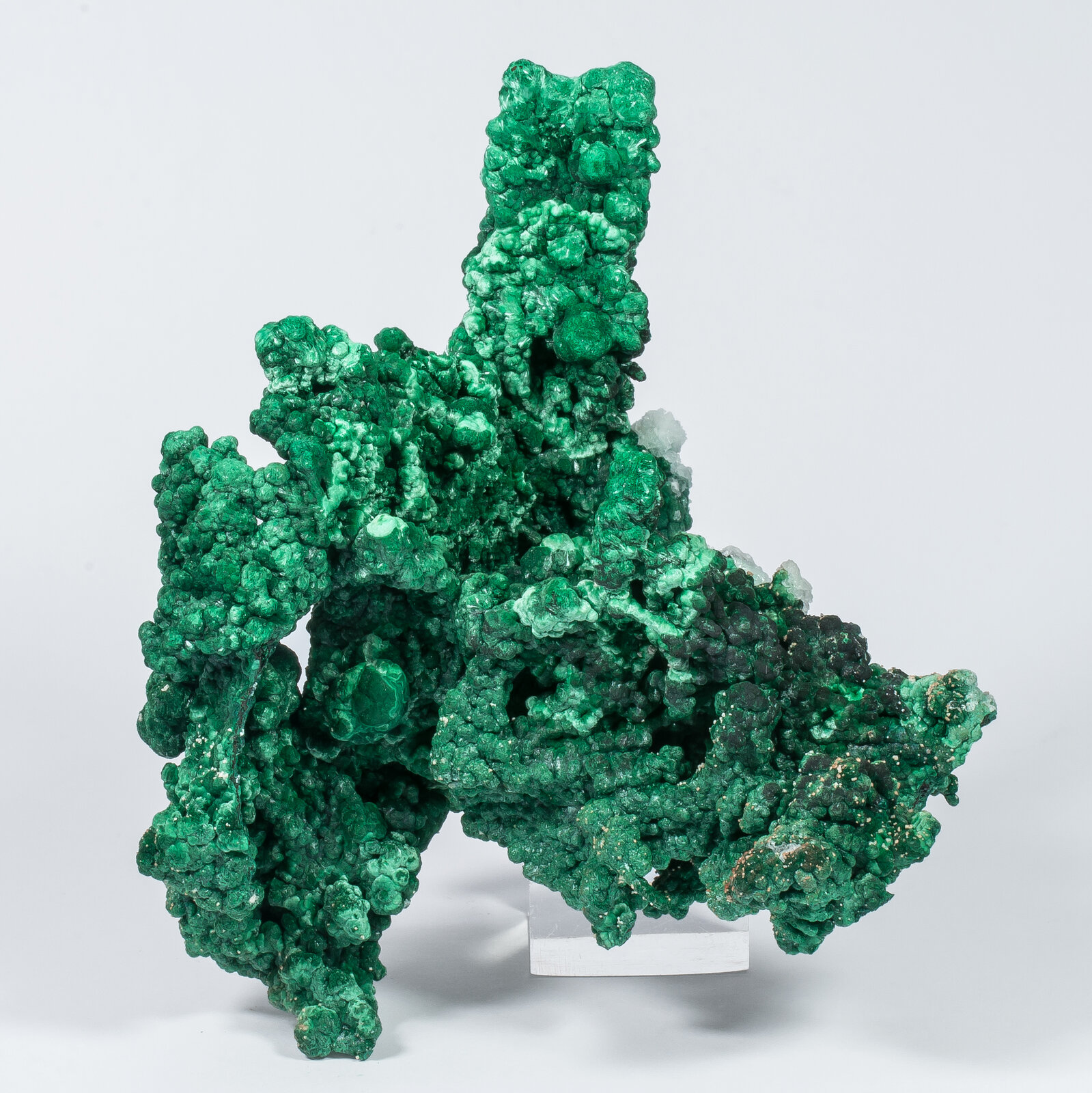 specimens/s_imagesAN2/Malachite-TB49AN2f.jpg