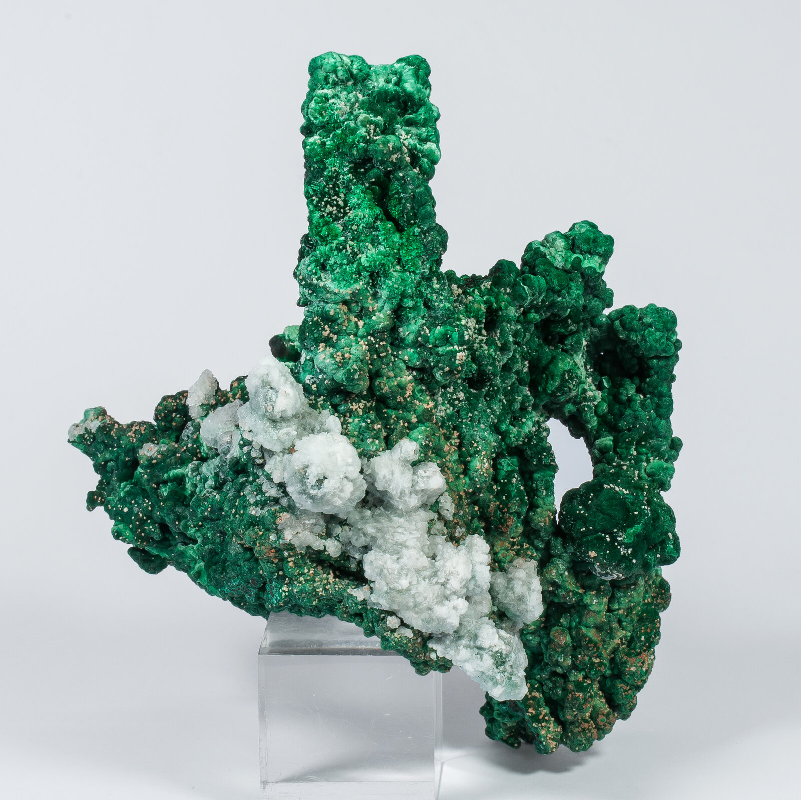 specimens/s_imagesAN2/Malachite-TB49AN2r.jpg