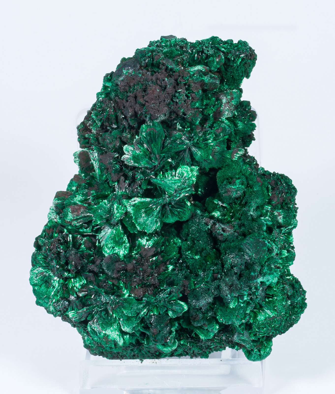 specimens/s_imagesAN2/Malachite-TB86AN2f.jpg