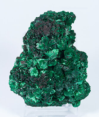 Malachite. Front