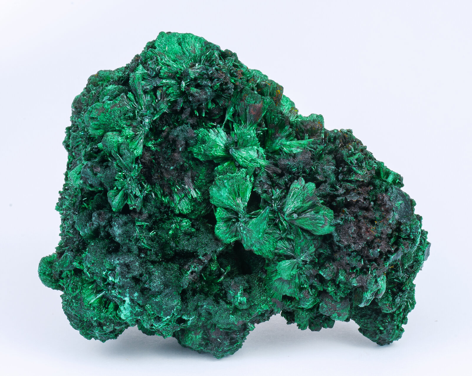 specimens/s_imagesAN2/Malachite-TB86AN2s.jpg