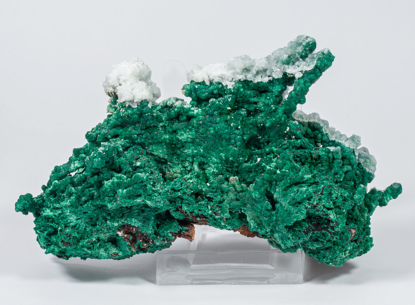 specimens/s_imagesAN2/Malachite-TC97AN2r.jpg