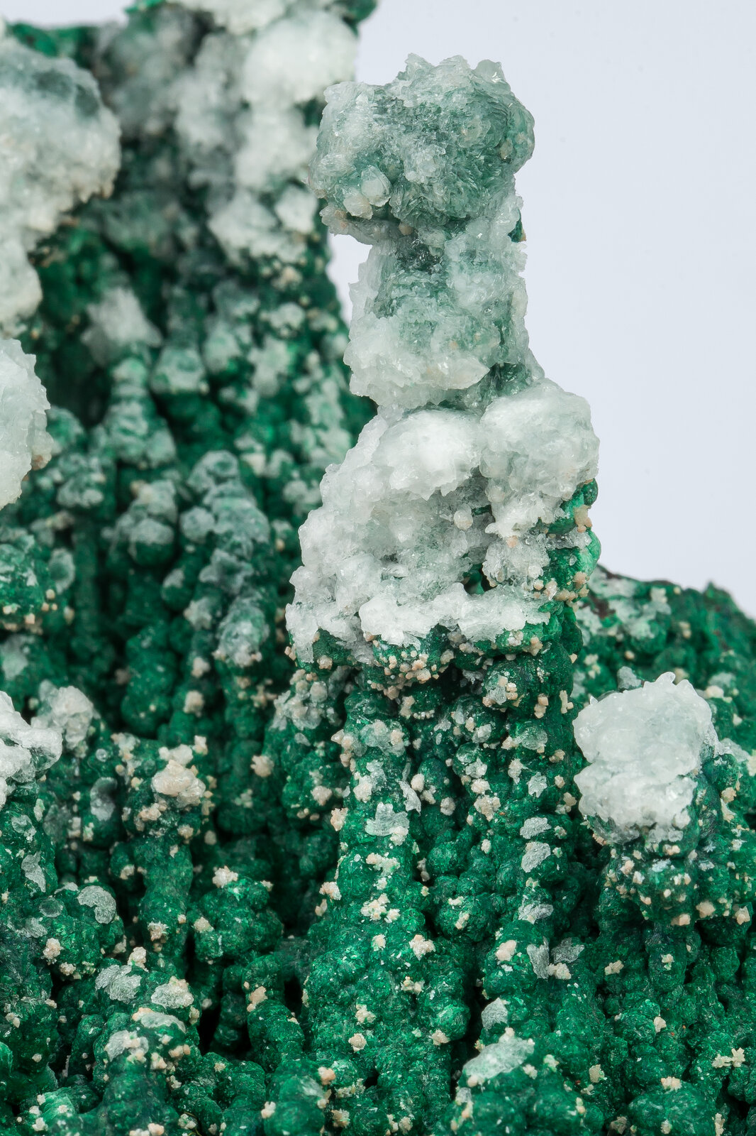 specimens/s_imagesAN2/Malachite-TD49AN2d.jpg