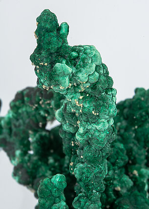 Malachite with Cerussite. 