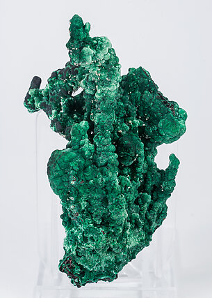 Malachite with Cerussite. Front