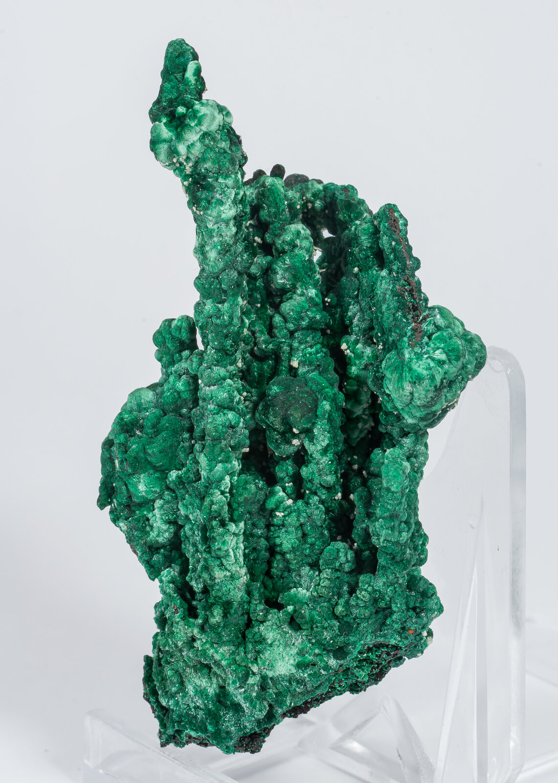 specimens/s_imagesAN2/Malachite-TF36AN2s.jpg