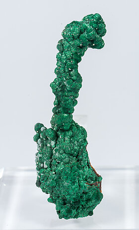 Malachite with Calcite and Cerussite. Front