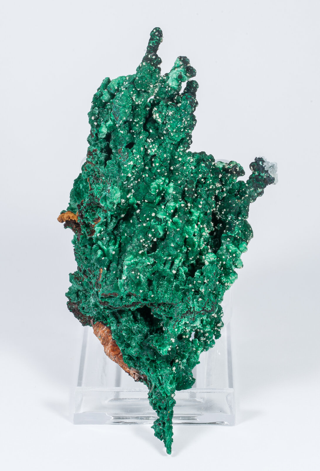 specimens/s_imagesAN2/Malachite-TM87AN2f.jpg