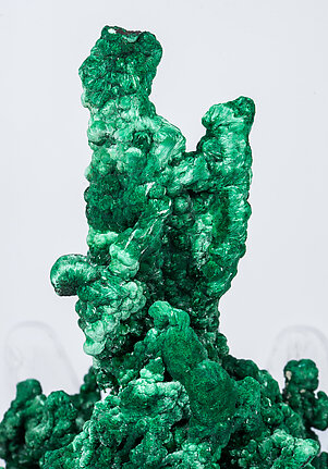 Malachite with Cerussite. 