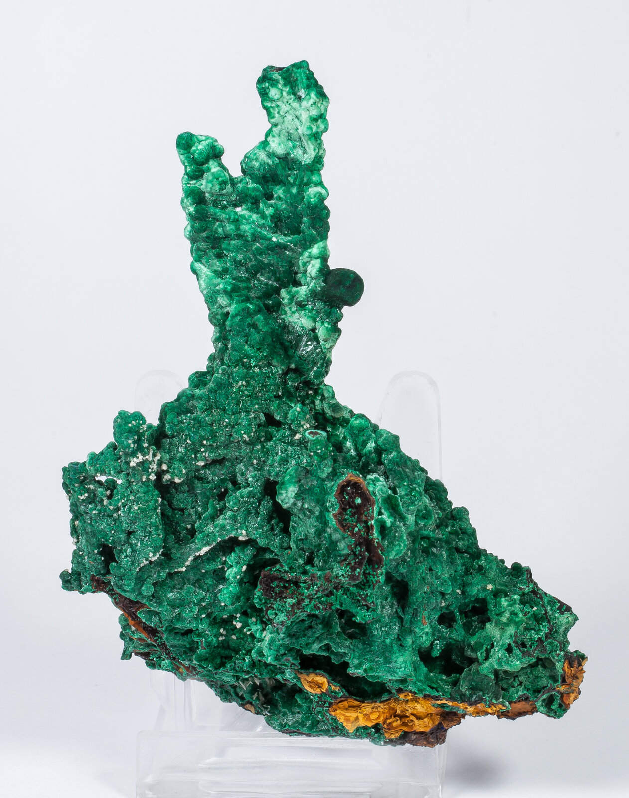 specimens/s_imagesAN2/Malachite-TP48AN2r.jpg