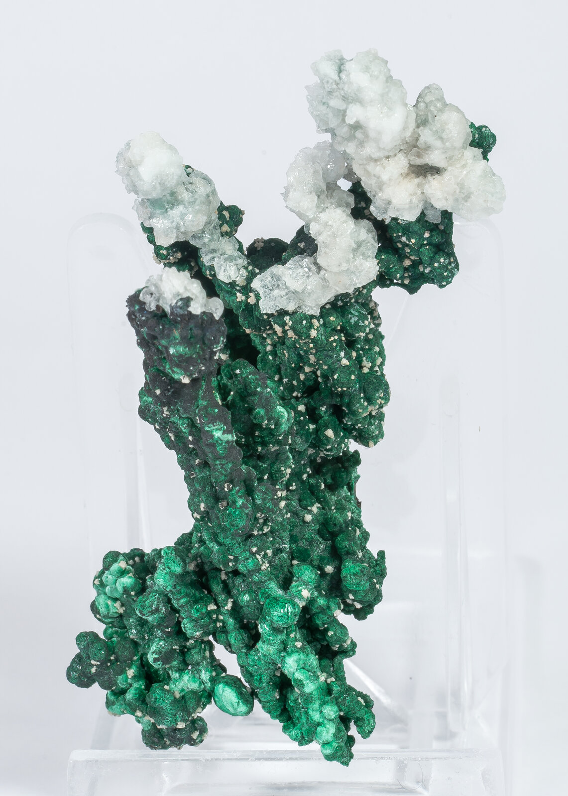 specimens/s_imagesAN2/Malachite-TQ13AN2f.jpg