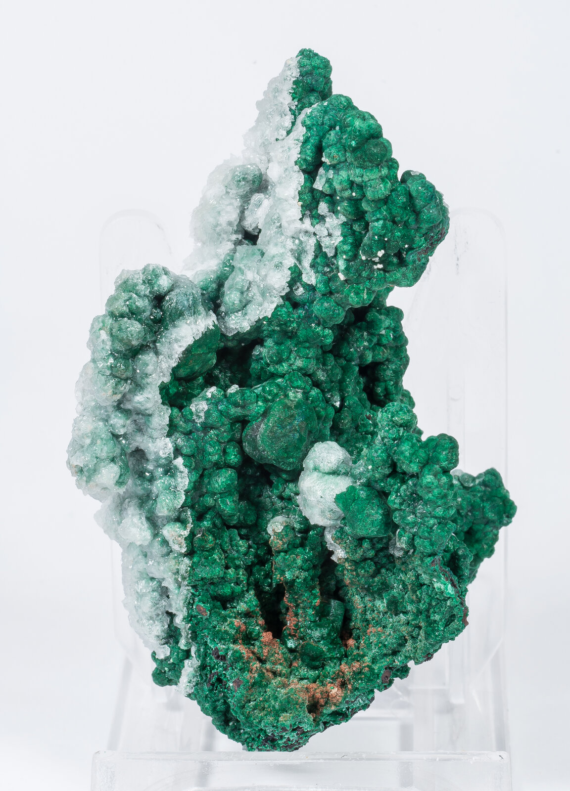 specimens/s_imagesAN2/Malachite-TQ66AN2f.jpg