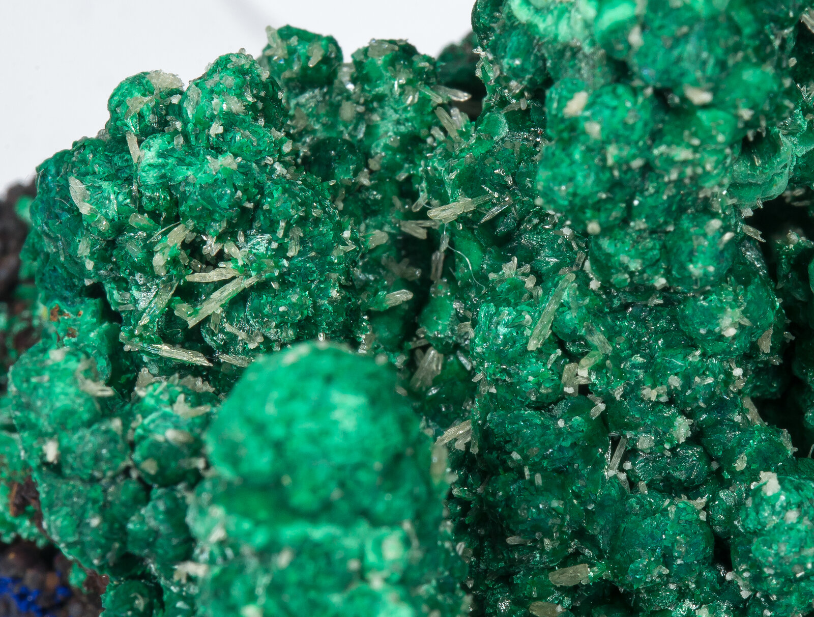 specimens/s_imagesAN2/Malachite-TR66AN2d2.jpg