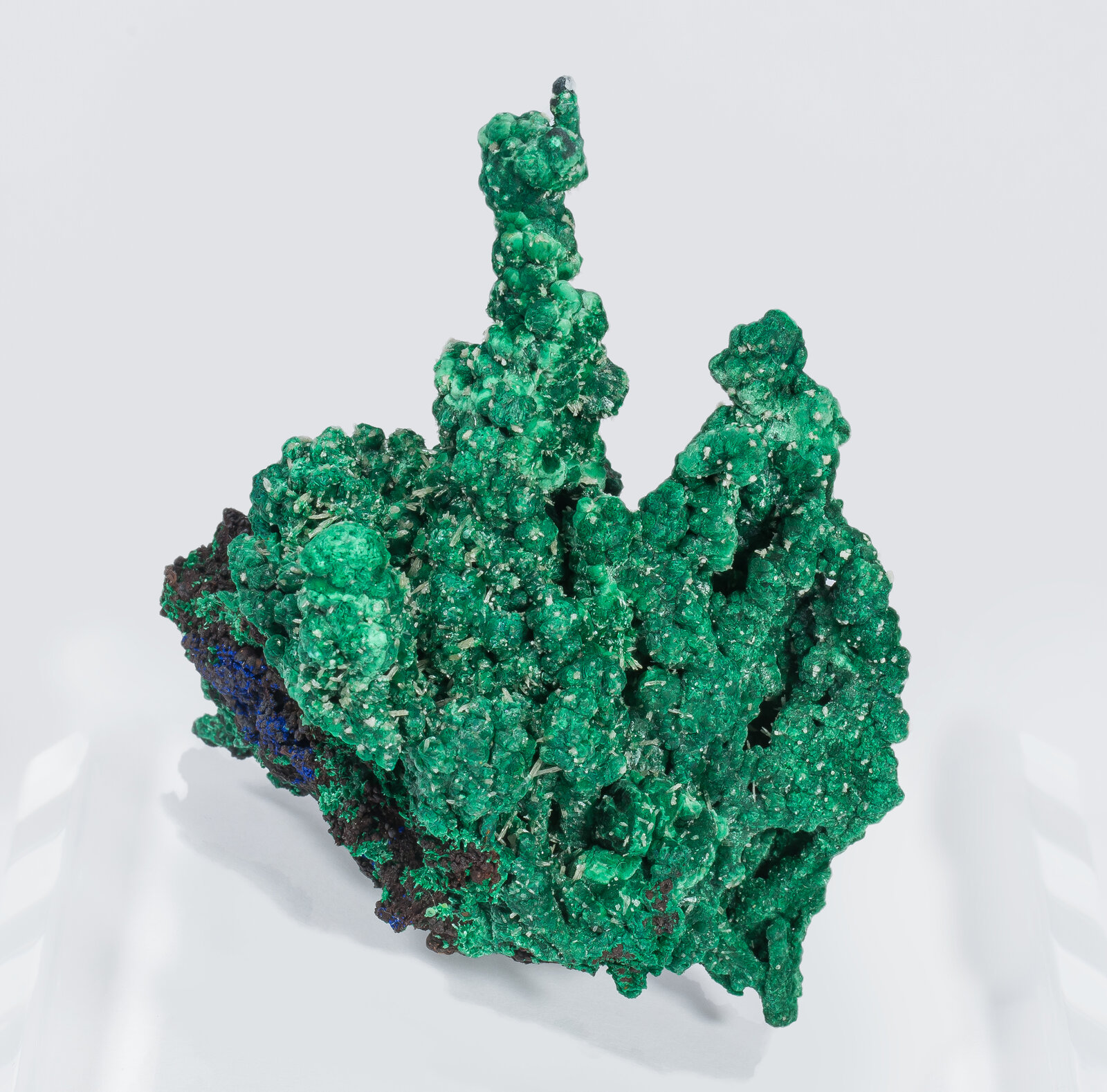 specimens/s_imagesAN2/Malachite-TR66AN2f.jpg