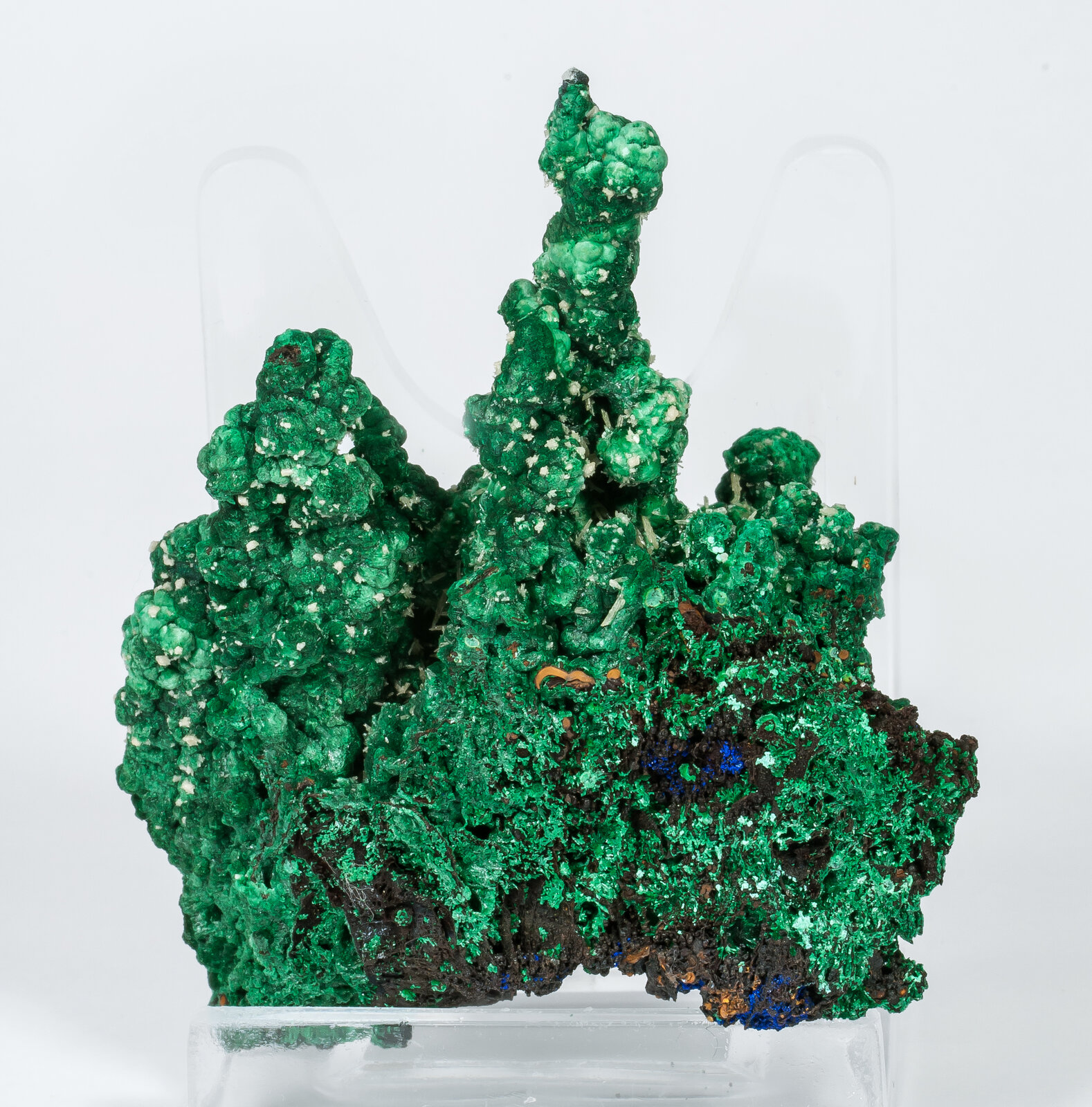 specimens/s_imagesAN2/Malachite-TR66AN2r.jpg