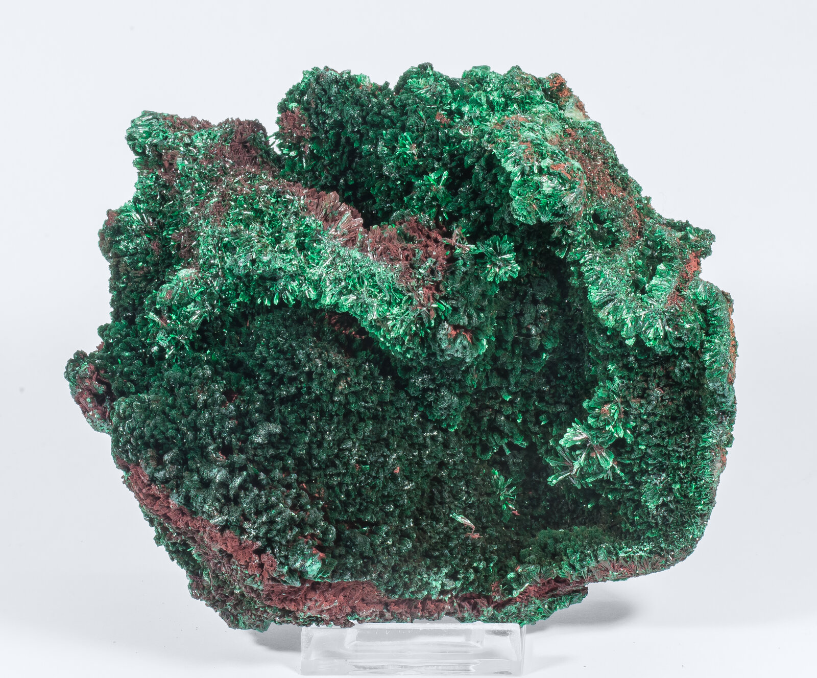 specimens/s_imagesAN2/Malachite-TR69AN2f.jpg