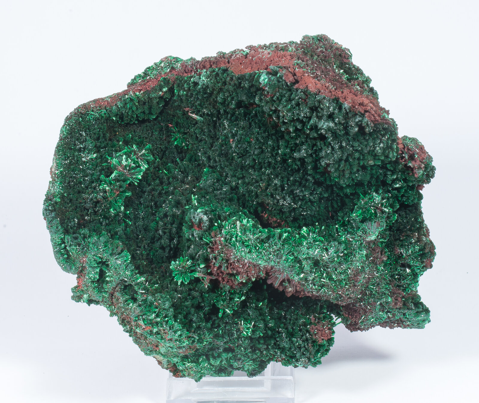 specimens/s_imagesAN2/Malachite-TR69AN2s.jpg