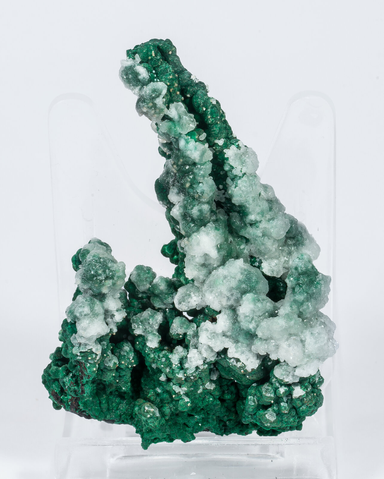 specimens/s_imagesAN2/Malachite-TT36AN2r.jpg