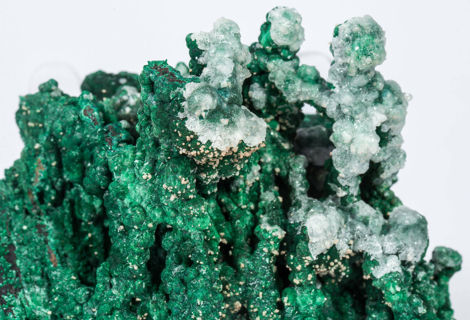 specimens/s_imagesAN2/Malachite-TV27AN2d.jpg