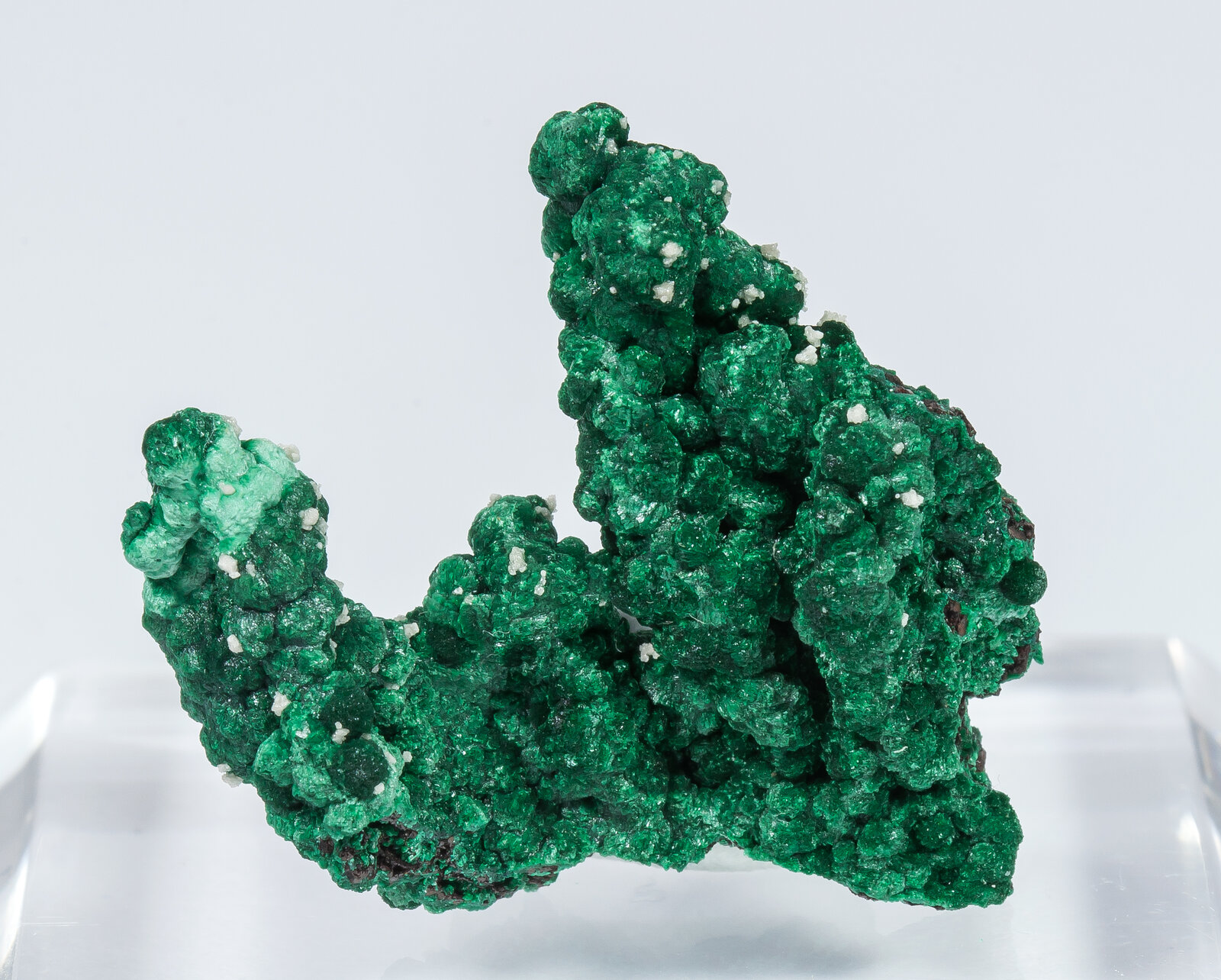 specimens/s_imagesAN2/Malachite-TX8AN2f.jpg