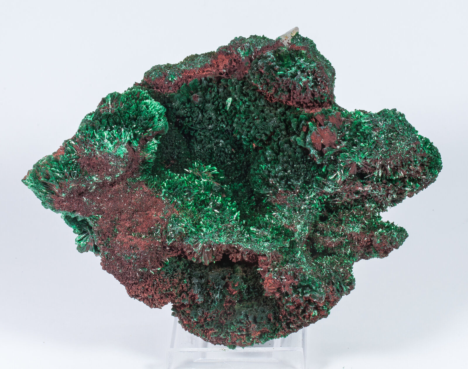 specimens/s_imagesAN2/Malachite-TY47AN2f.jpg