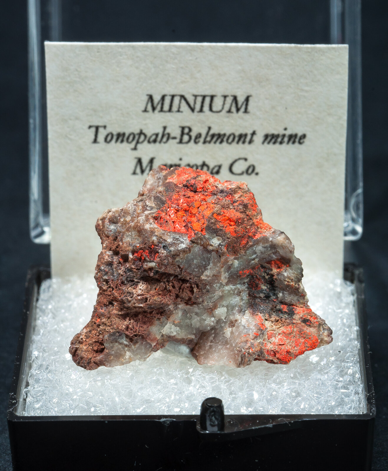 specimens/s_imagesAN2/Minium-TB14AN2f1.jpg