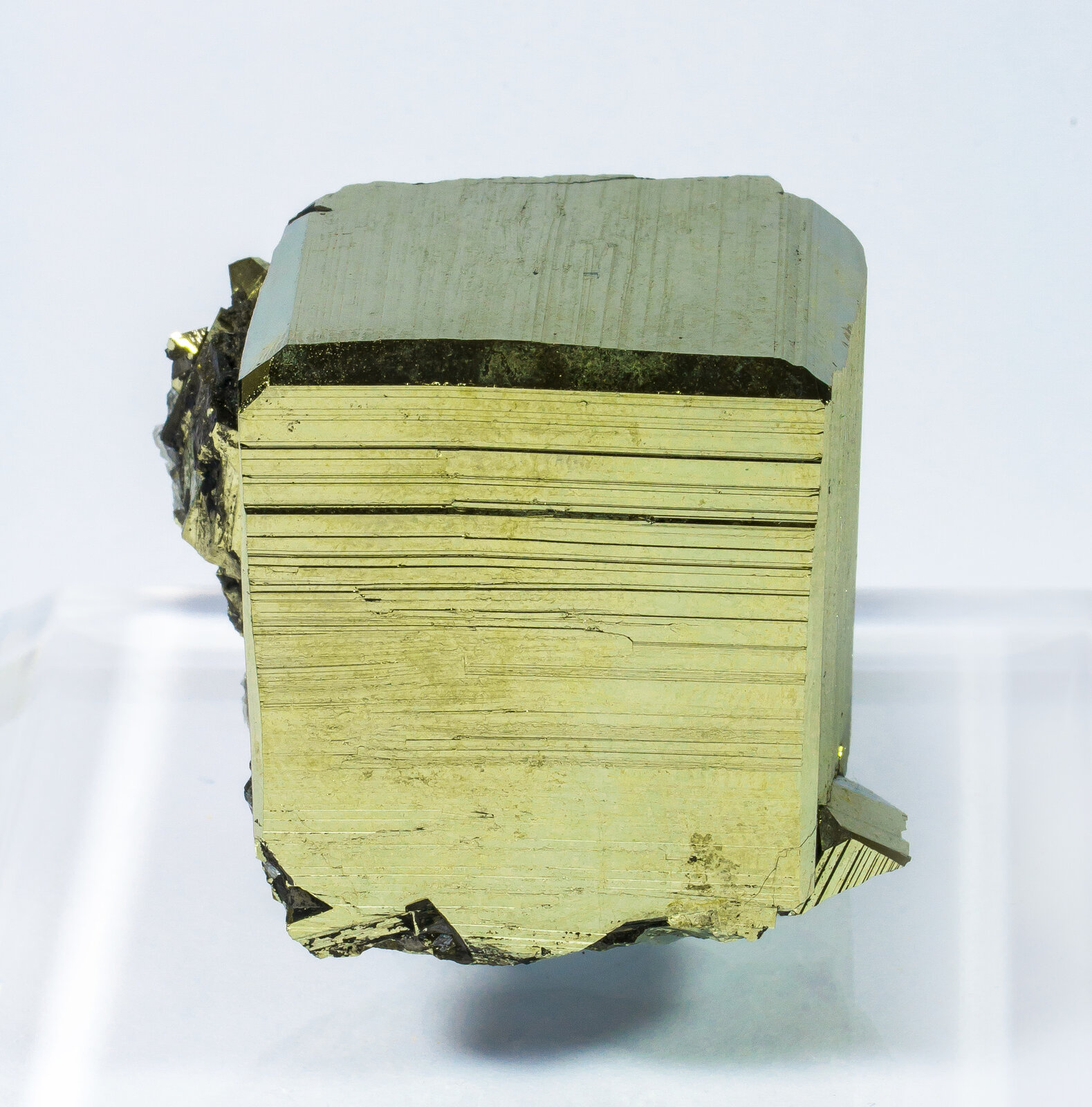 specimens/s_imagesAN2/Pyrite-TT14AN2f.jpg