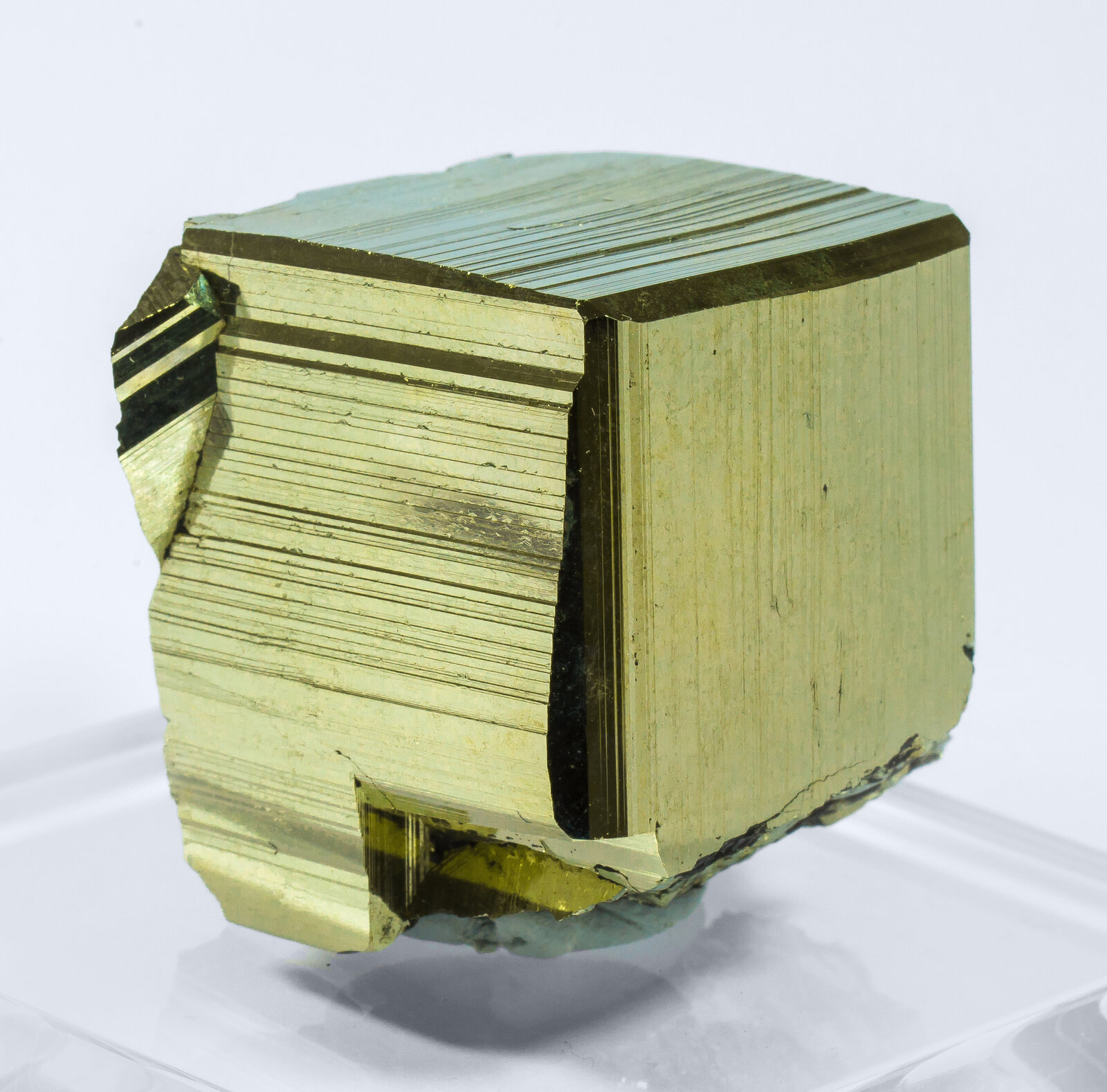 specimens/s_imagesAN2/Pyrite-TT14AN2s.jpg