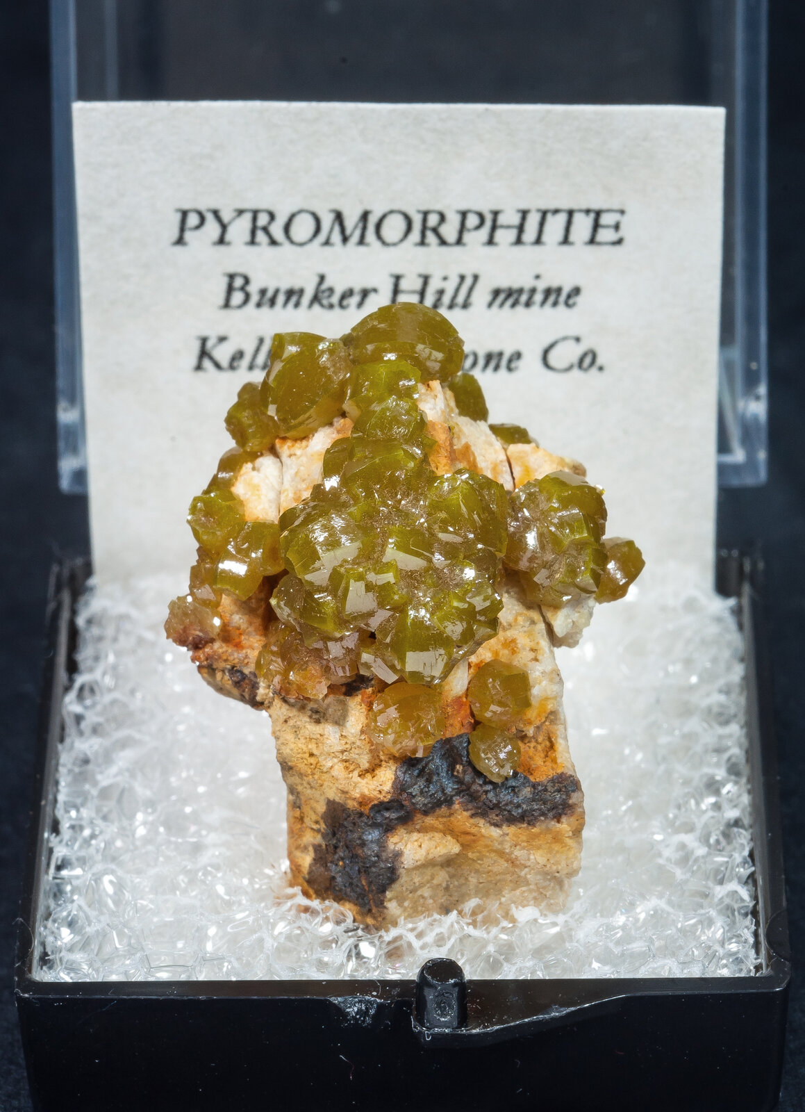 specimens/s_imagesAN2/Pyromorphite-TE13AN2f1.jpg