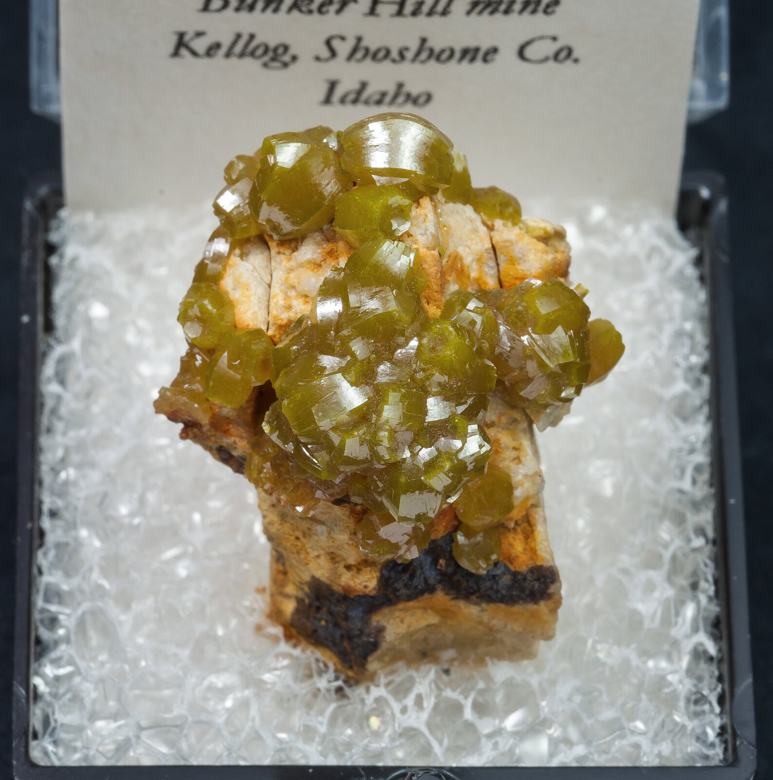 specimens/s_imagesAN2/Pyromorphite-TE13AN2f2.jpg