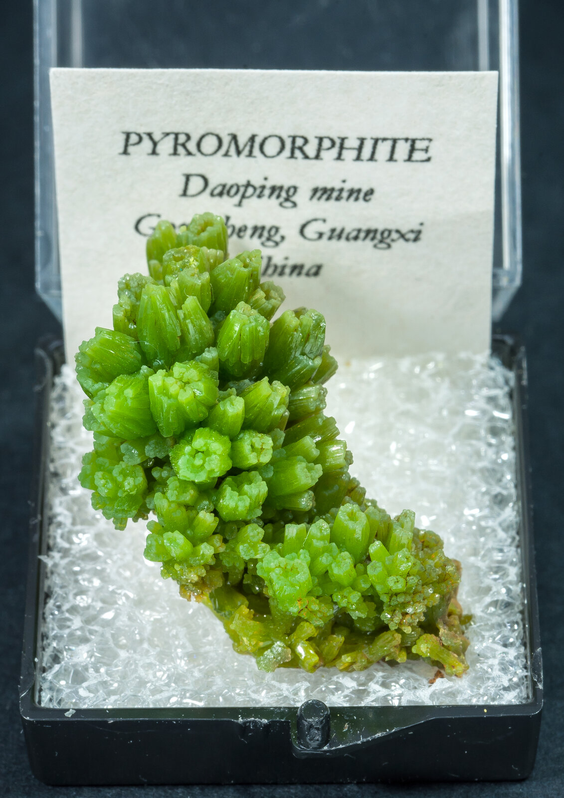 specimens/s_imagesAN2/Pyromorphite-TX16AN2f1.jpg