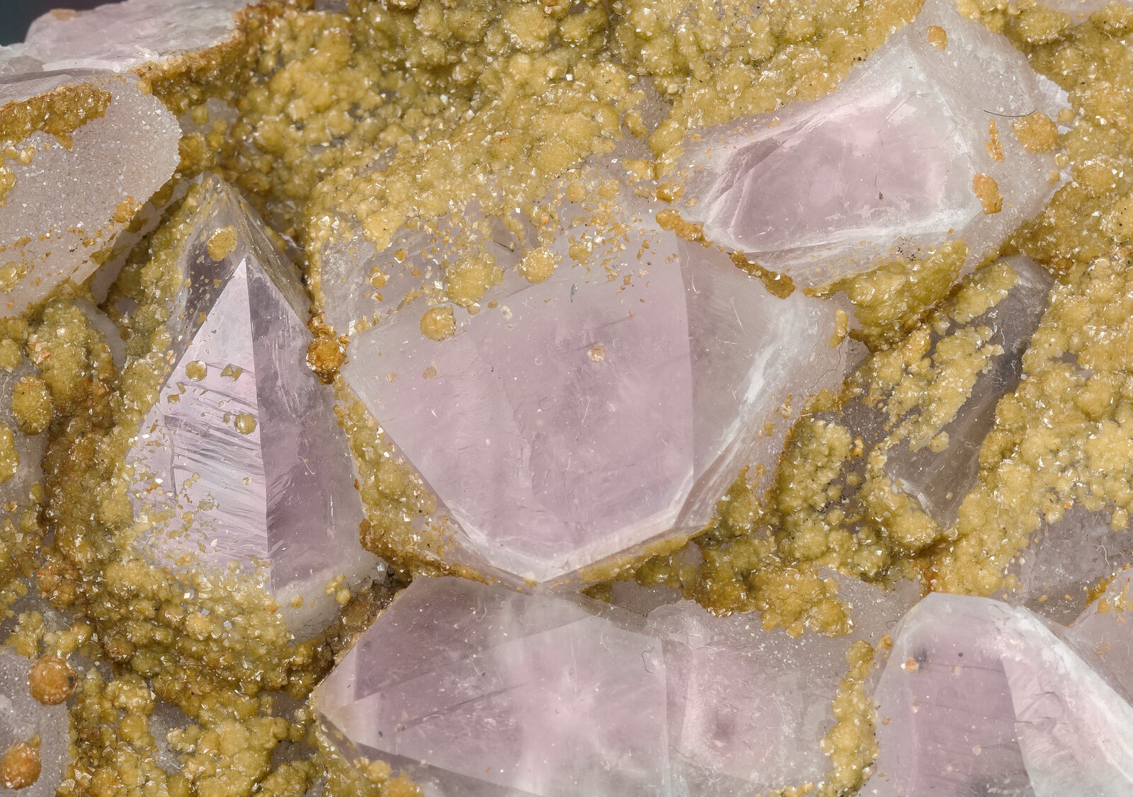 specimens/s_imagesAN2/Quartz_amethyst-NA70AN2d.jpg