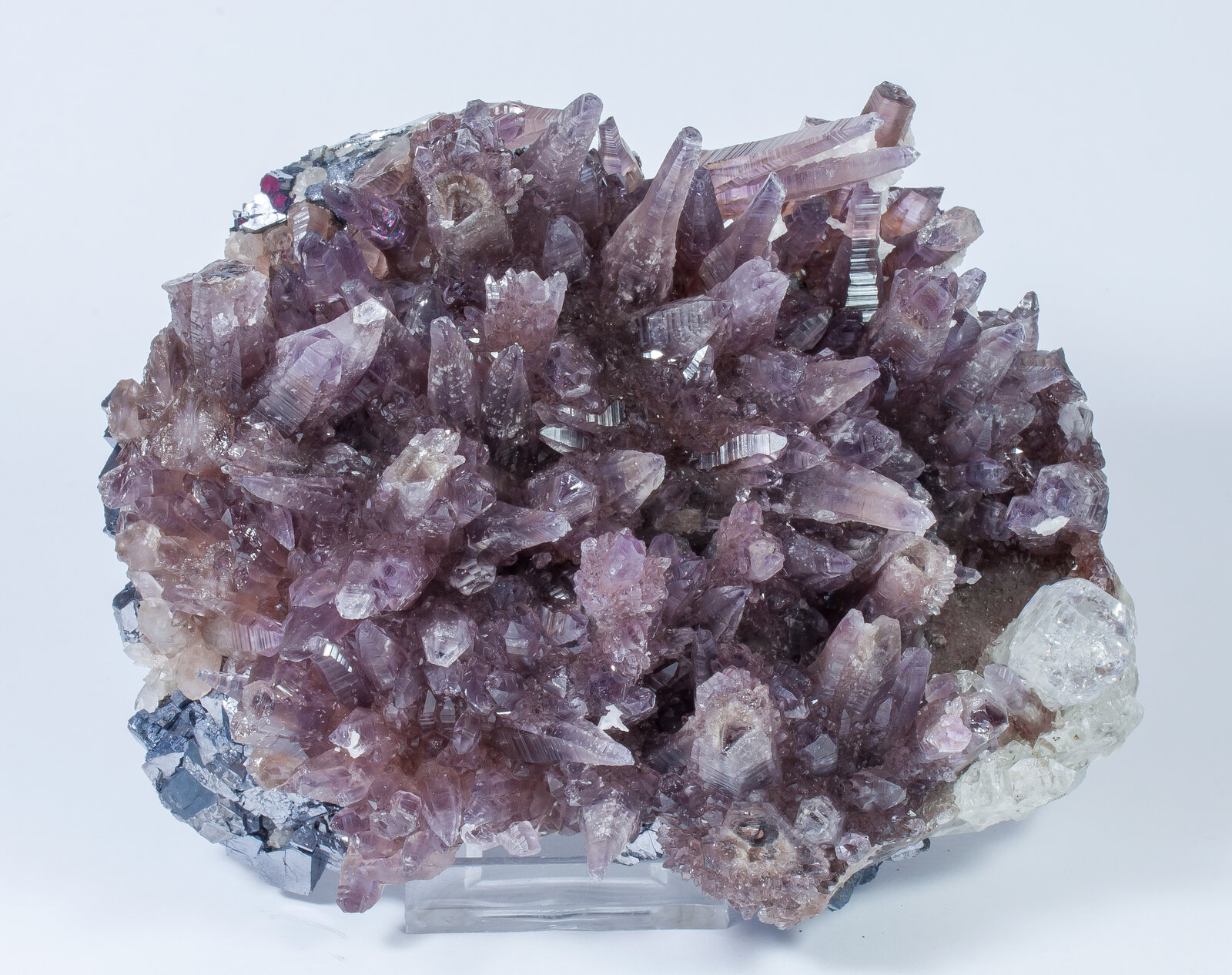 specimens/s_imagesAN2/Quartz_amethyst-TX26AN2f.jpg