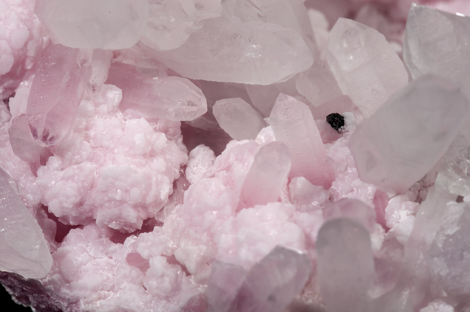 specimens/s_imagesAN2/Rhodochrosite-TB56AN2d.jpg