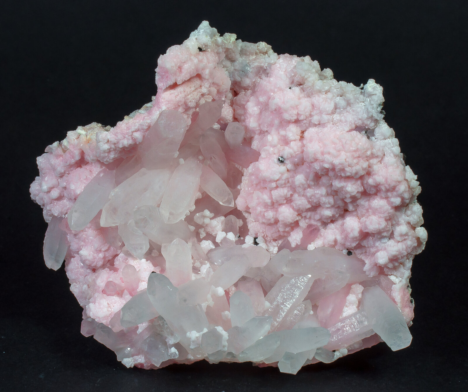 specimens/s_imagesAN2/Rhodochrosite-TB56AN2f.jpg