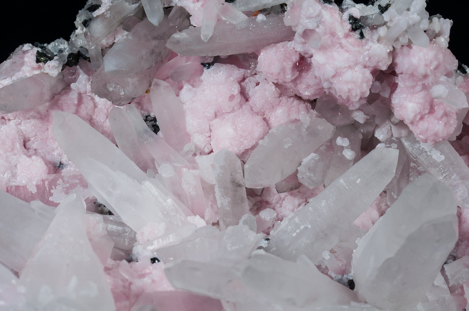 specimens/s_imagesAN2/Rhodochrosite-TC96AN2d.jpg