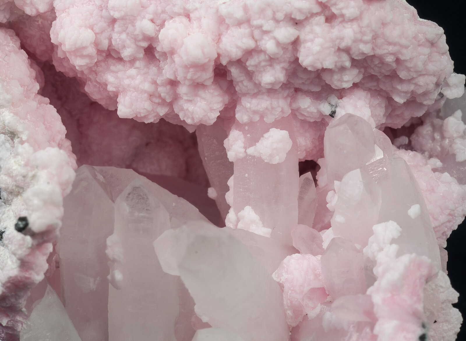 specimens/s_imagesAN2/Rhodochrosite-TQ37AN2d.jpg
