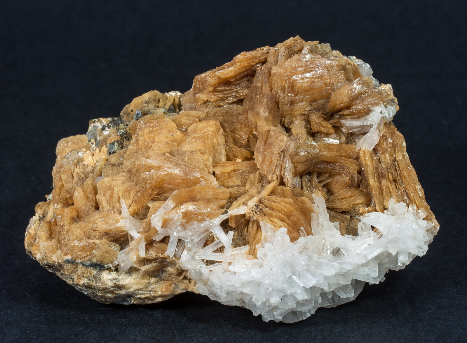 specimens/s_imagesAN2/Roweite-TP68AN2f.jpg