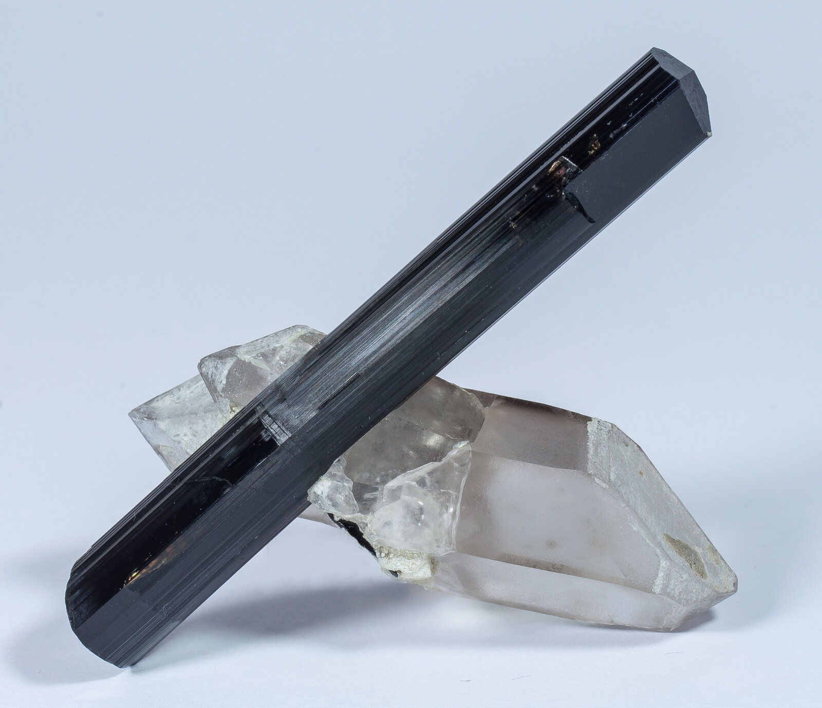 specimens/s_imagesAN2/Schorl-TF97AN2f.jpg