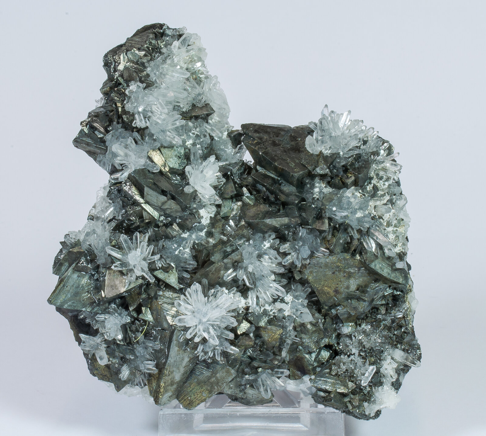 specimens/s_imagesAN2/Tetrahedrite-NM17AN2f.jpg