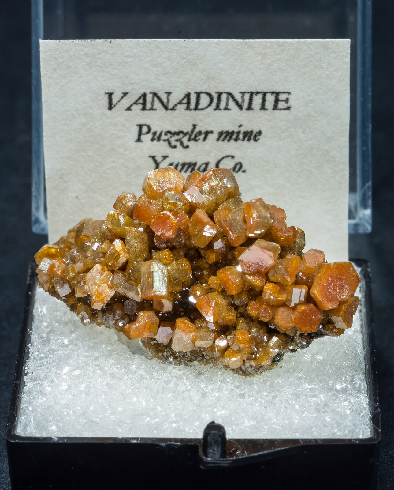 specimens/s_imagesAN2/Vanadinite-TA16AN2f1.jpg