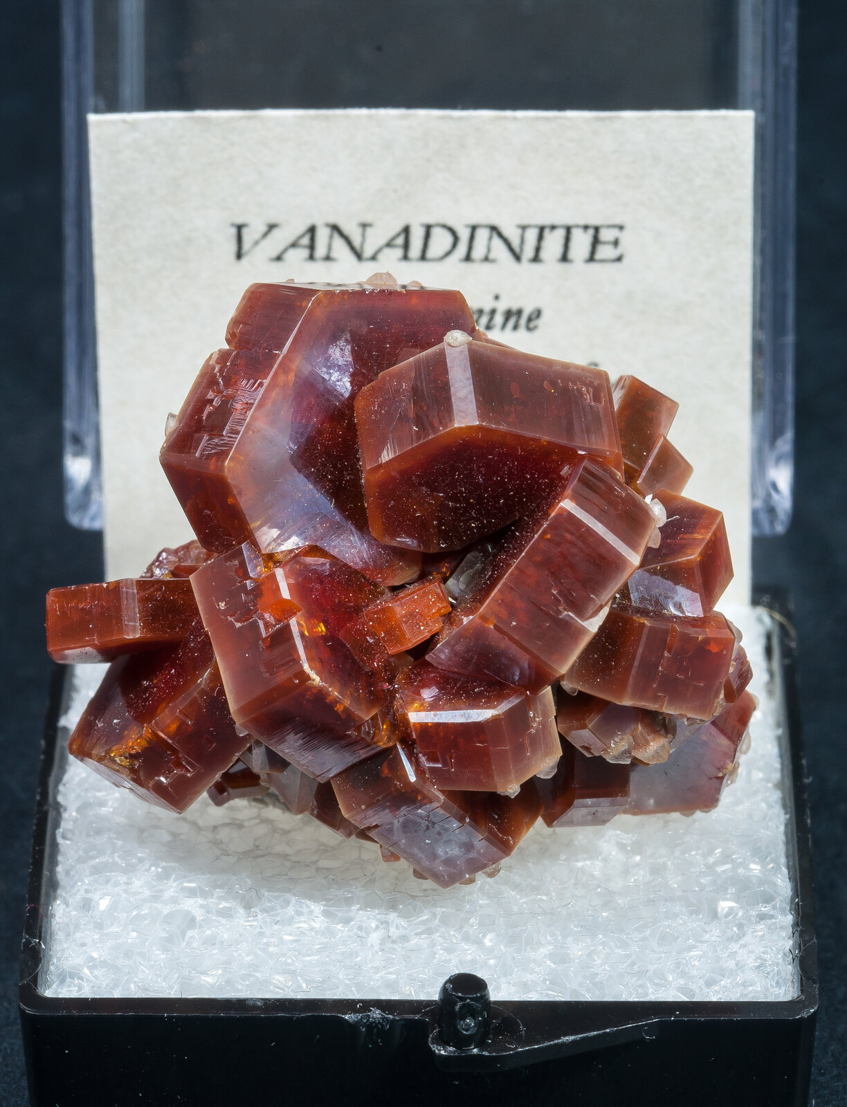 specimens/s_imagesAN2/Vanadinite-TN13AN2f1.jpg