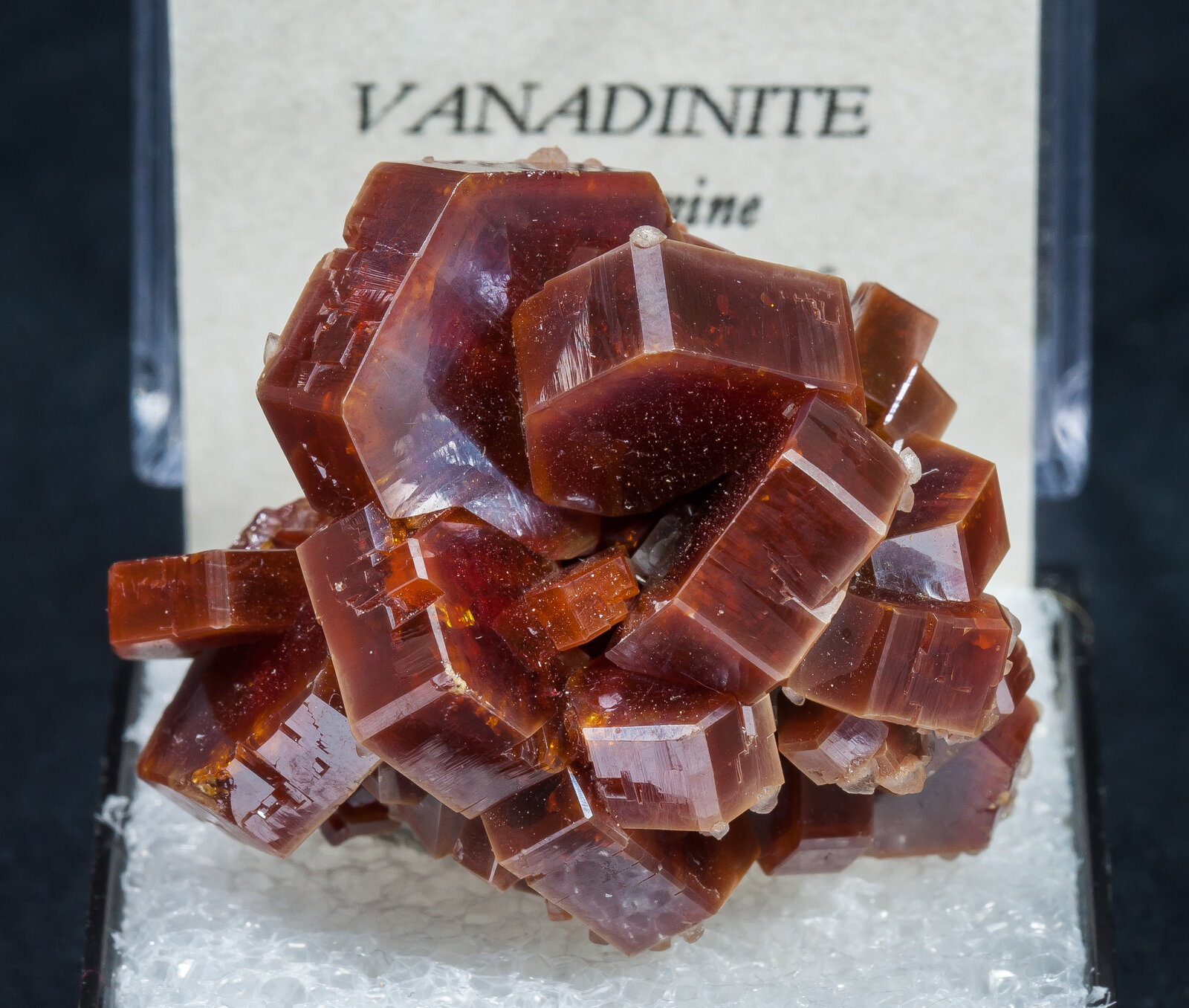 specimens/s_imagesAN2/Vanadinite-TN13AN2f2.jpg