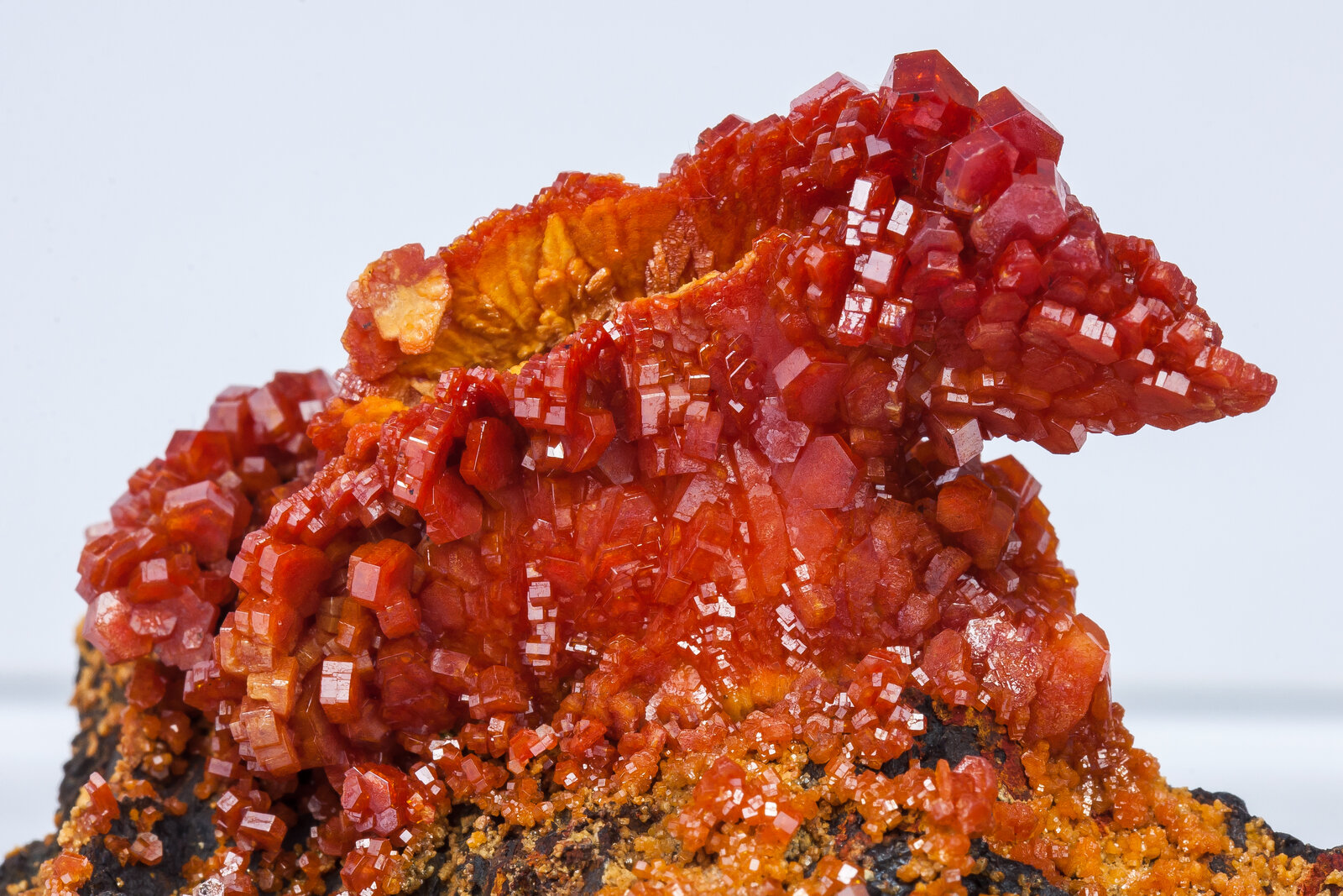 specimens/s_imagesAN2/Vanadinite-TT50AN2d.jpg