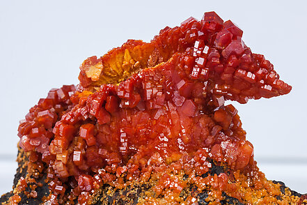 Vanadinite. 