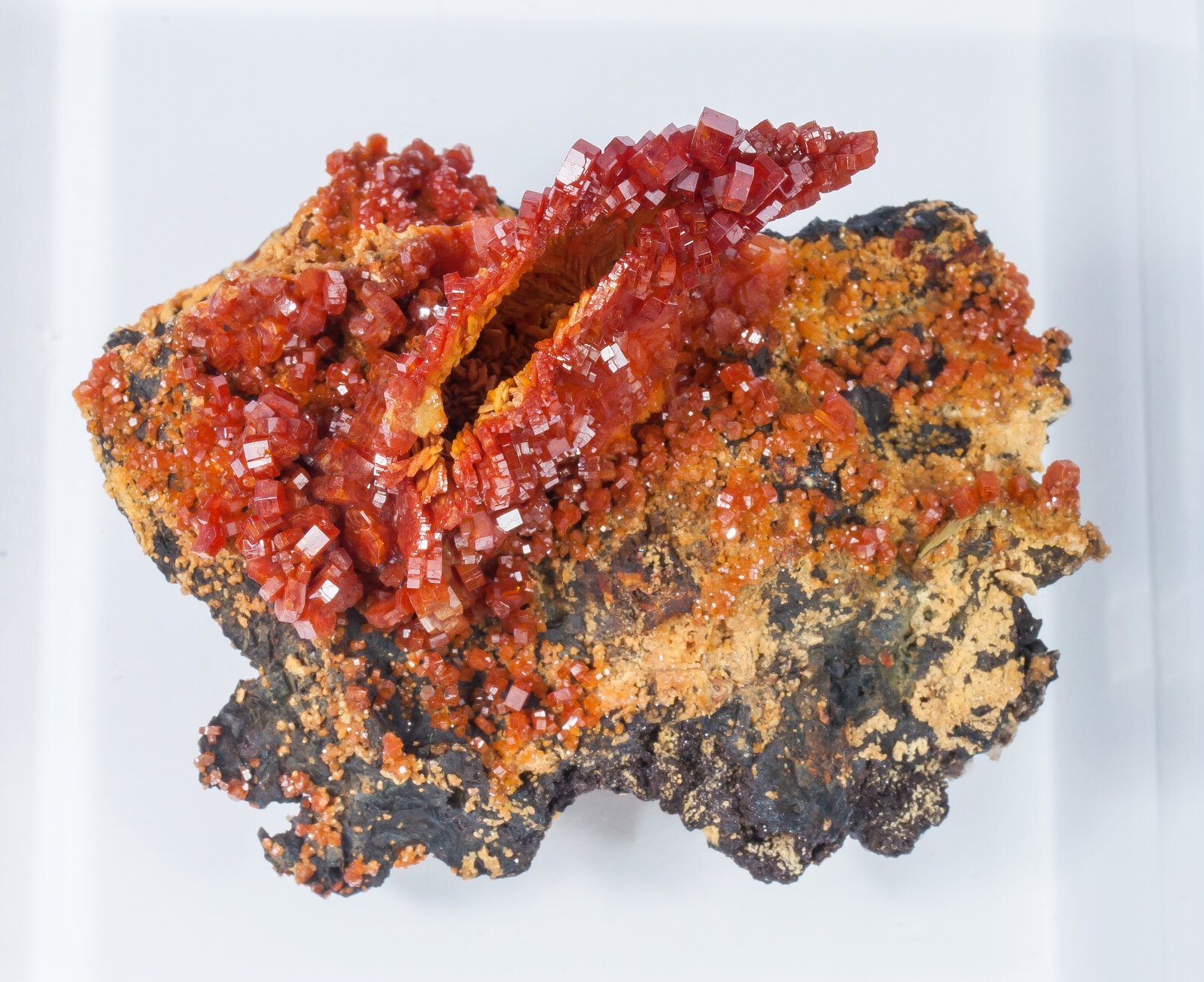 specimens/s_imagesAN2/Vanadinite-TT50AN2t.jpg