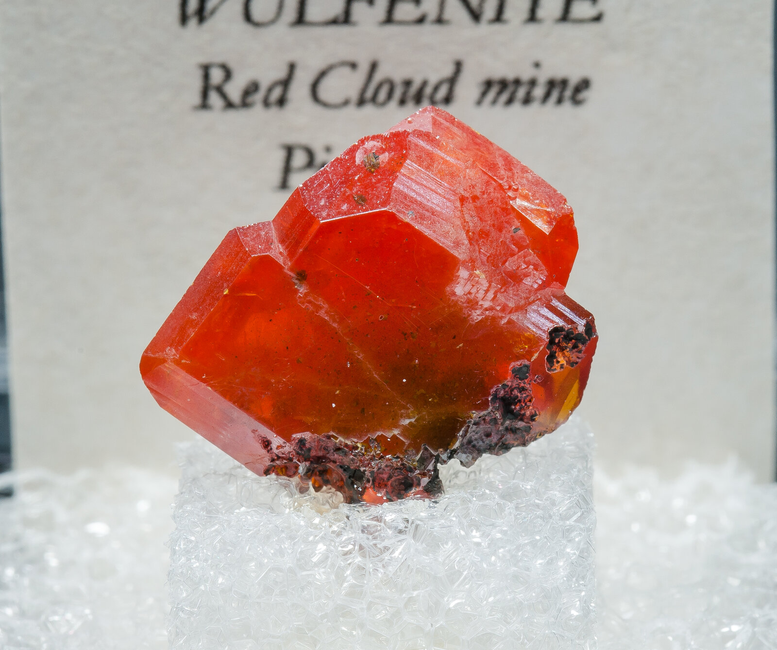 specimens/s_imagesAN2/Wulfenite-TC66AN2f2.jpg