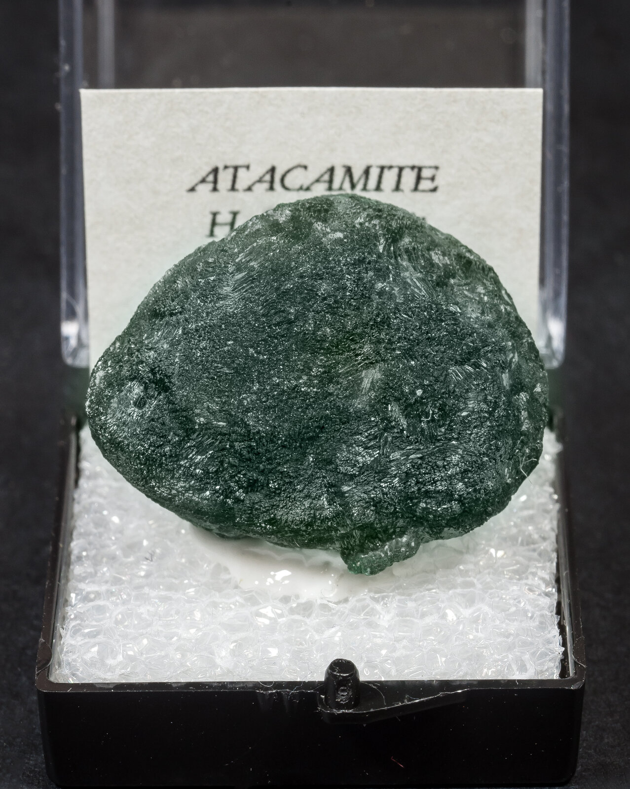 specimens/s_imagesAN3/Atacamite-TPB16AN3f1.jpg