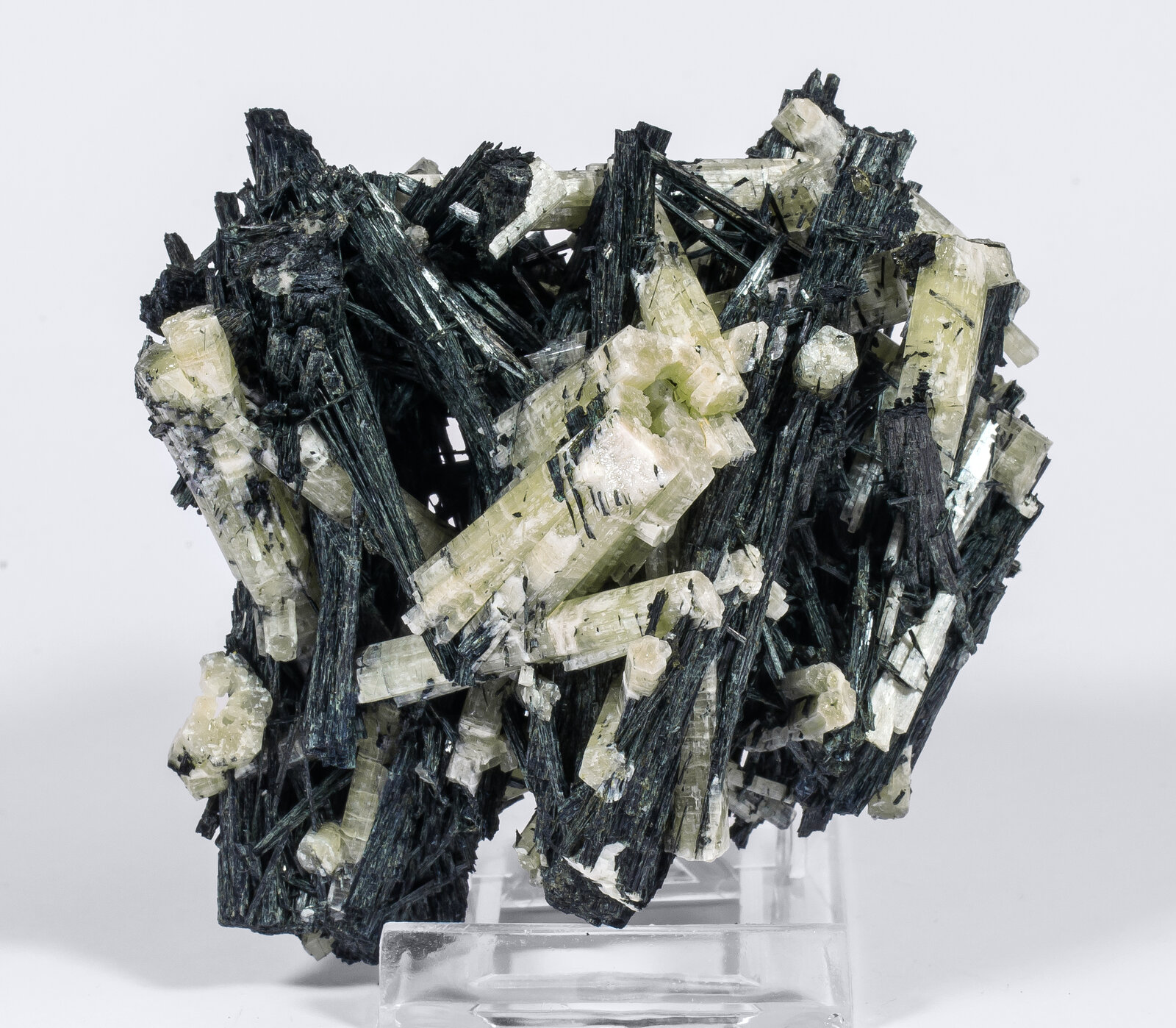 specimens/s_imagesAN3/Chlorapatite-TAD47AN3r.jpg